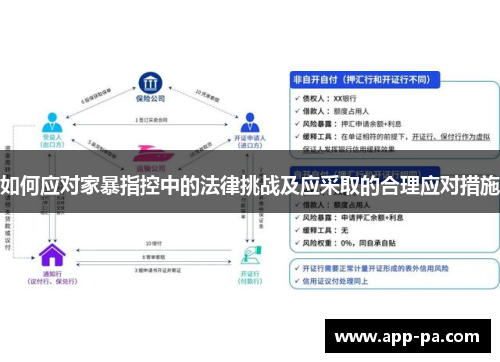 如何应对家暴指控中的法律挑战及应采取的合理应对措施