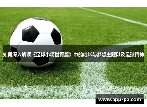 如何深入解读《足球小将世青篇》中的成长与梦想主题以及足球精神