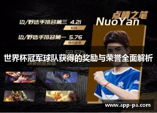 世界杯冠军球队获得的奖励与荣誉全面解析