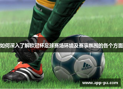 如何深入了解欧冠杯足球赛场环境及赛事氛围的各个方面