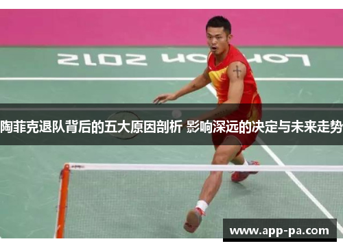陶菲克退队背后的五大原因剖析 影响深远的决定与未来走势