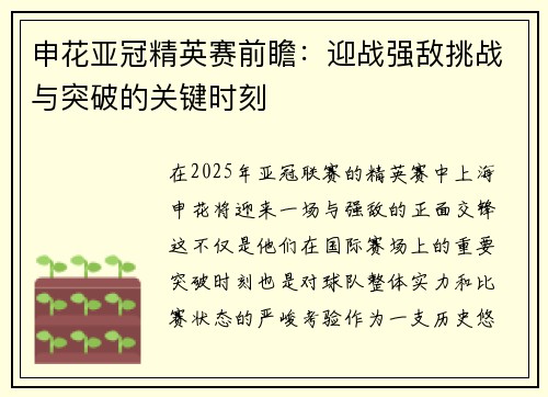 申花亚冠精英赛前瞻：迎战强敌挑战与突破的关键时刻